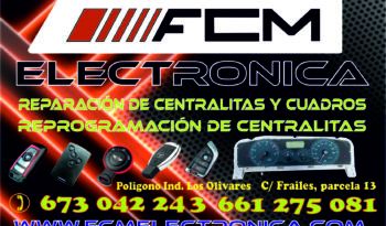 Electrónica centralitas coches Jaén